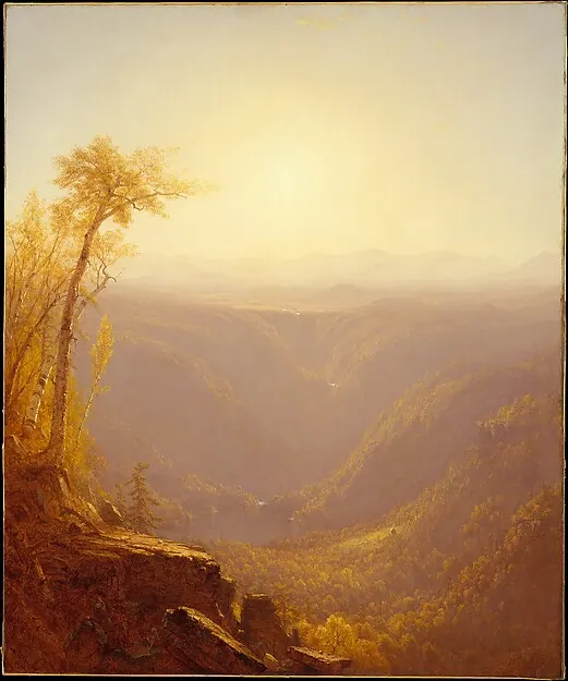 A hazy golden gorge with a single sunlit tree on the left