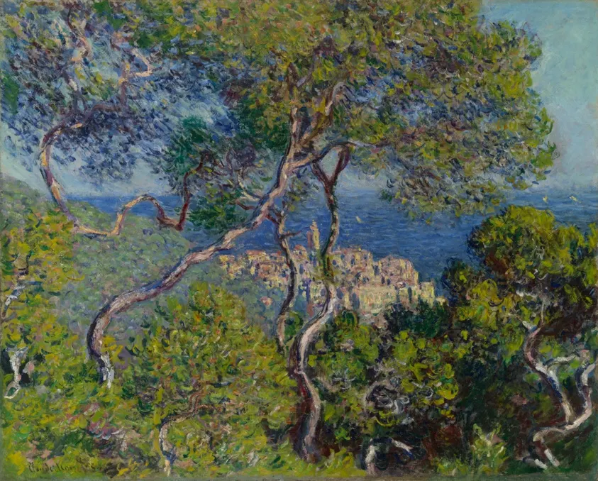 Twisting pine trees framing an Italian hill town