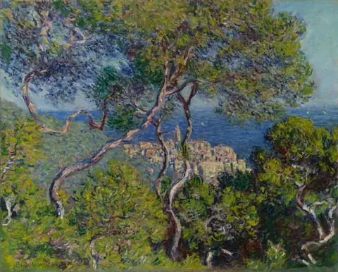 Twisting pine trees framing an Italian hill town