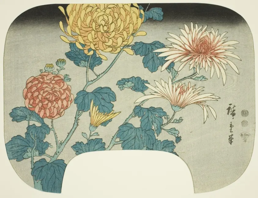A circular cluster of white, pink, and yellow chrysanthemums