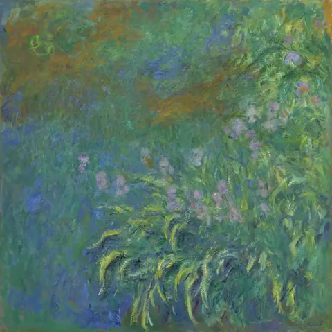 Loose brushstrokes of violet and blue irises in a garden