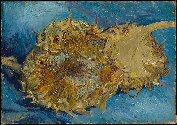 A wilting sunflower head with thick brush strokes on a bright blue background