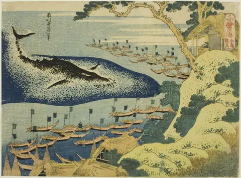 Boats and swimmers surrounding a whale in choppy water